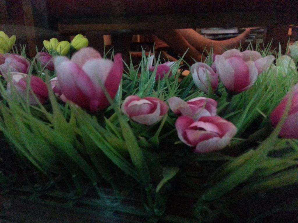 Pink Tulip Hotel Ho Či Minovo Město Exteriér fotografie