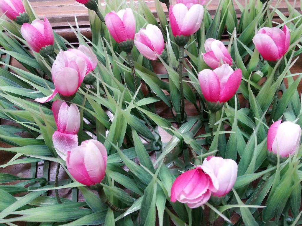 Pink Tulip Hotel Ho Či Minovo Město Exteriér fotografie